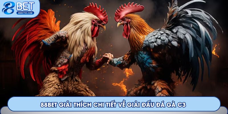88Bet giải thích chi tiết về giải đấu đá gà C3