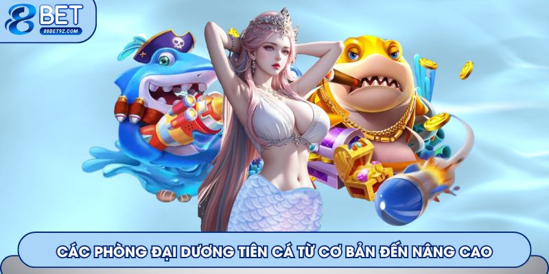 Các phòng đại dương Tiên Cá từ cơ bản đến nâng cao