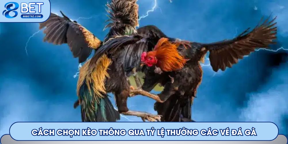 Cách chọn kèo thông qua tỷ lệ thưởng các vé đá gà