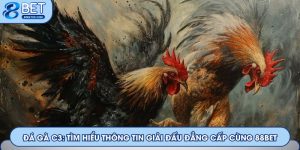 Đá gà C3