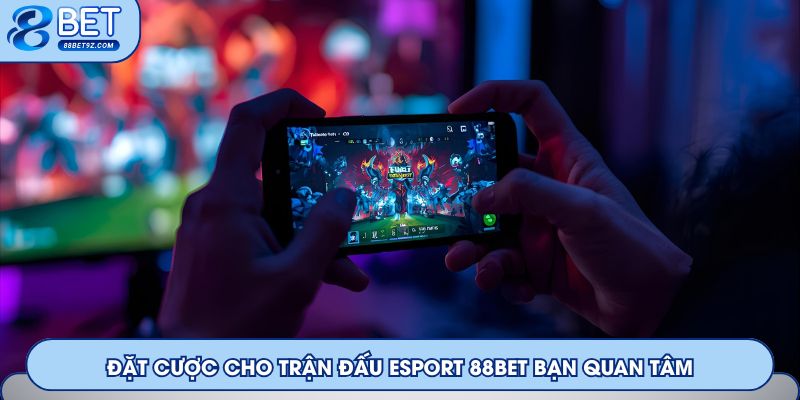 Đặt cược cho trận đấu Esport 88Bet bạn quan tâm