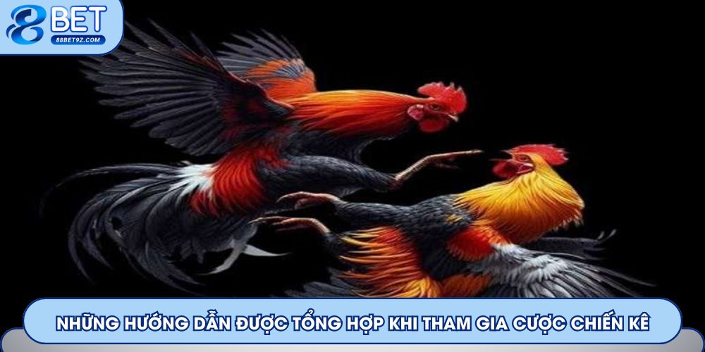 Những hướng dẫn được tổng hợp khi tham gia cược chiến kê