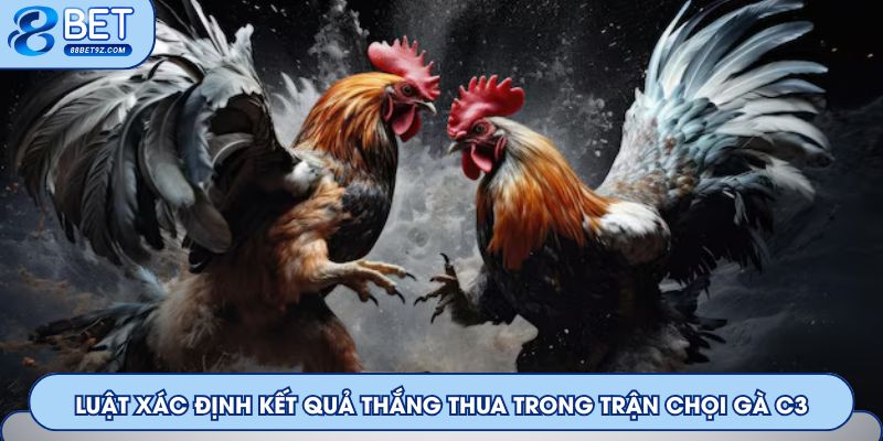 Luật xác định kết quả thắng thua trong trận chọi gà C3