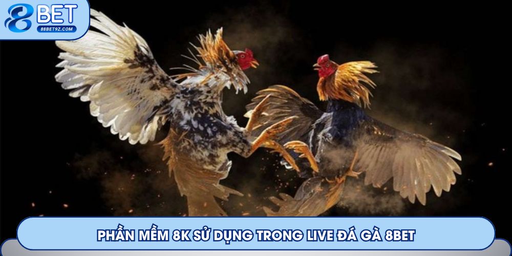 Phần mềm 8K sử dụng trong live đá gà 8Bet