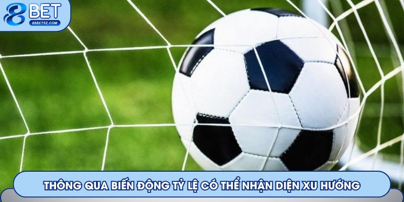 Thông qua biến động tỷ lệ có thể nhận diện Tài xỉu dễ thắng