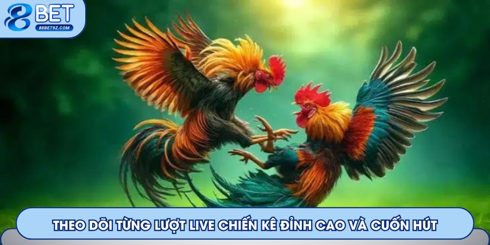 Theo dõi từng lượt live chiến kê đỉnh cao và cuốn hút